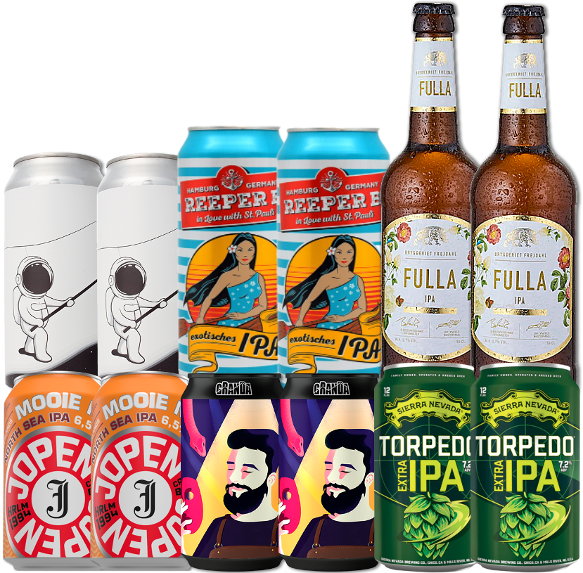 IPA Mix Smagekasse (12 stk.) (Gns. 22,95 kr. pr. øl)