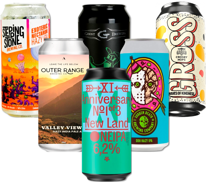 New England IPA Smagekasse (6 stk) (Gns. 41,5 Kr. Pr. Øl)