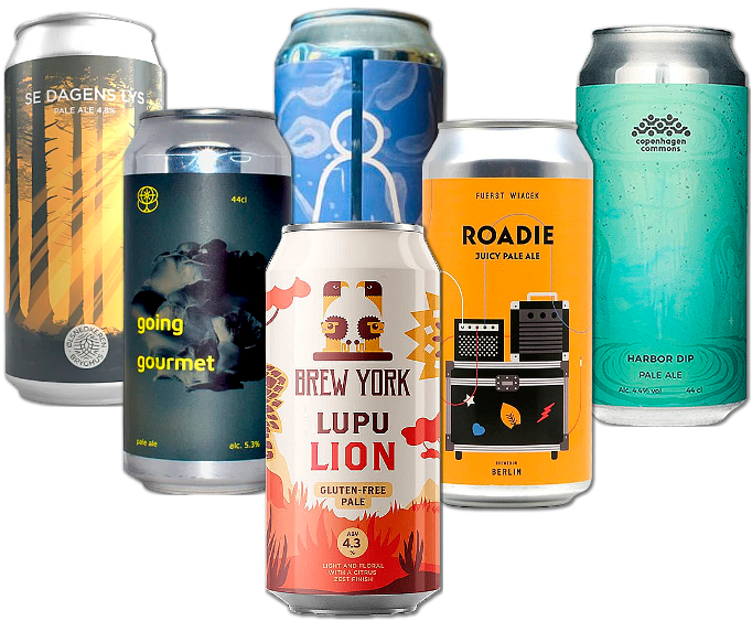 Pale Ale Smagekasse (6 stk.) (Gns. 35 Kr. Pr. Øl)