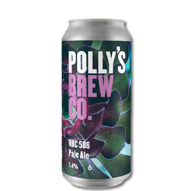 Polly's - The Hop Studio: HBC 586 - New England Pale Ale