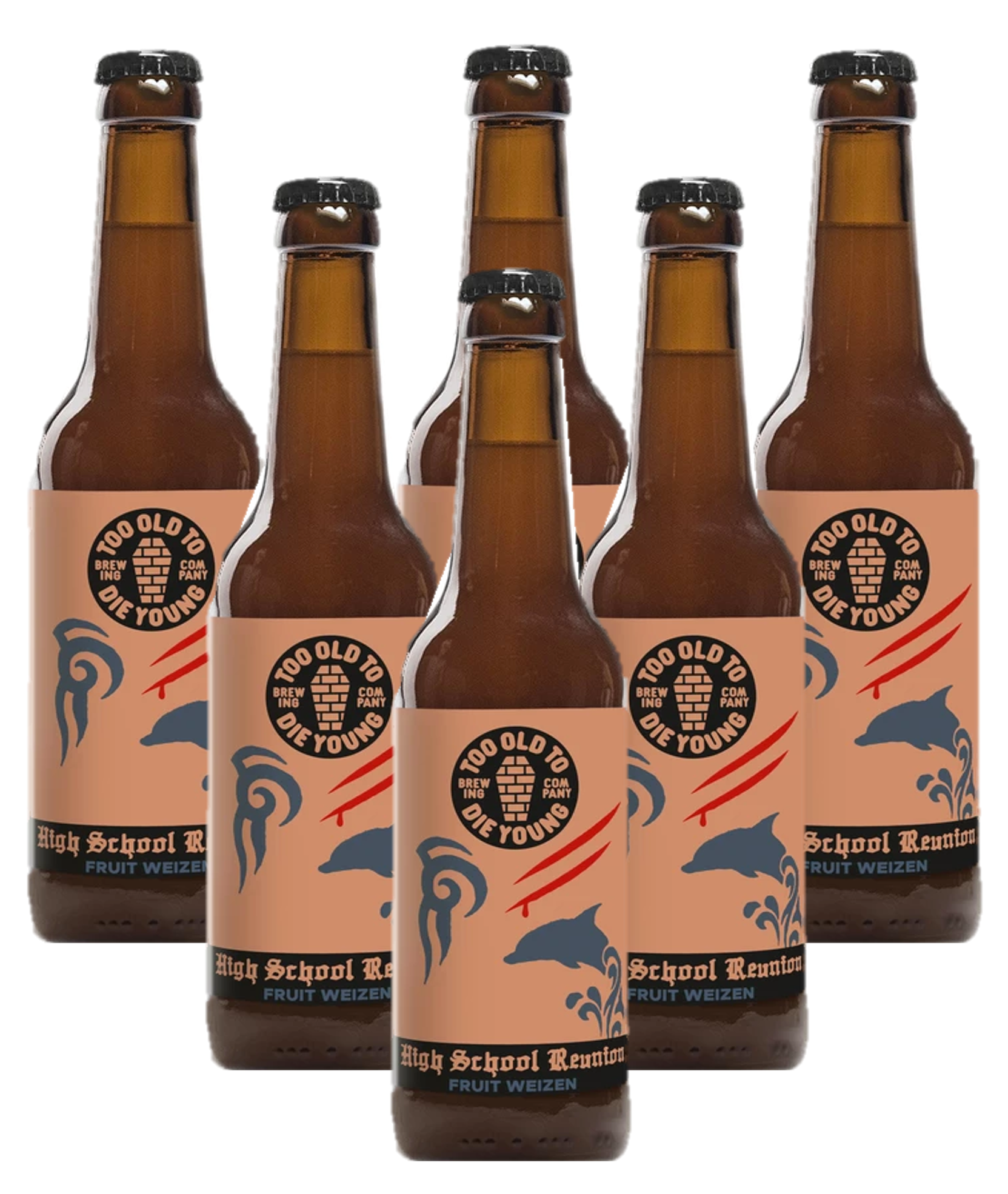 Too Old To Die Young - High School Reunion - Fruited Weizen (6-Pack)