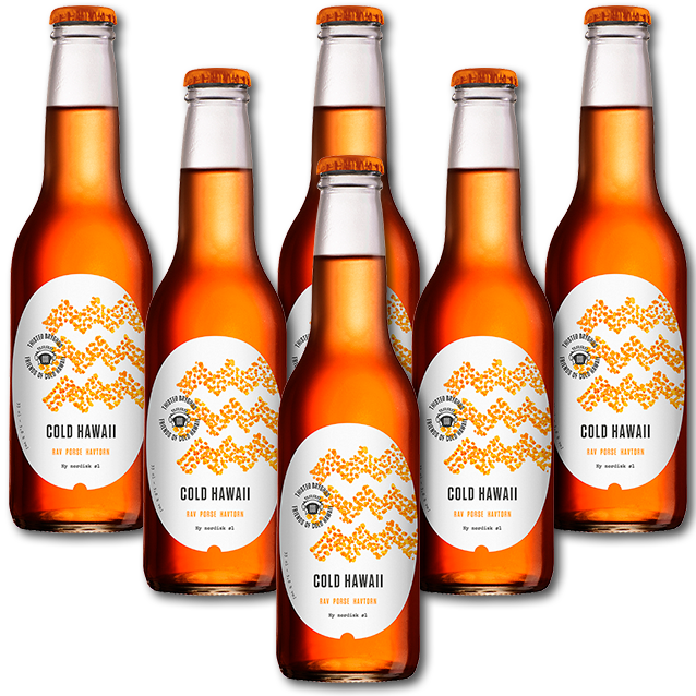 Thisted Bryghus - Cold Hawaii Rav - Spiced Lager (6-Pack)
