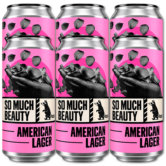 Wild Raccoon - So Much Beauty - 4,6% American Lager