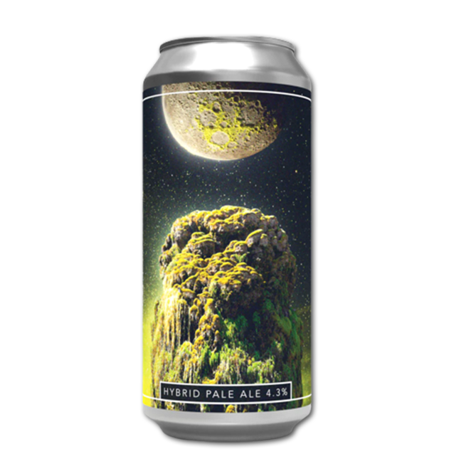 Dry & Bitter - Lost In Moss - Hybrid Pale Ale