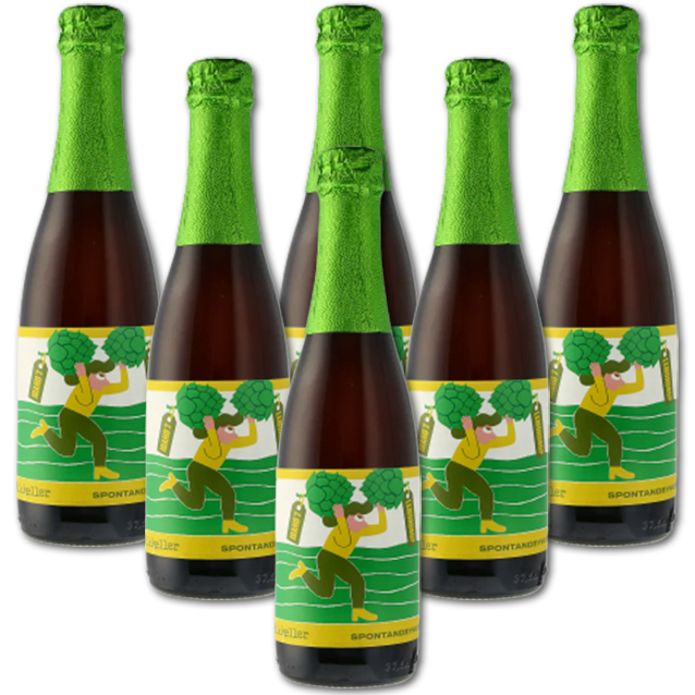 Mikkeller - Spontandryhop - Sour Ale - 6-Pack