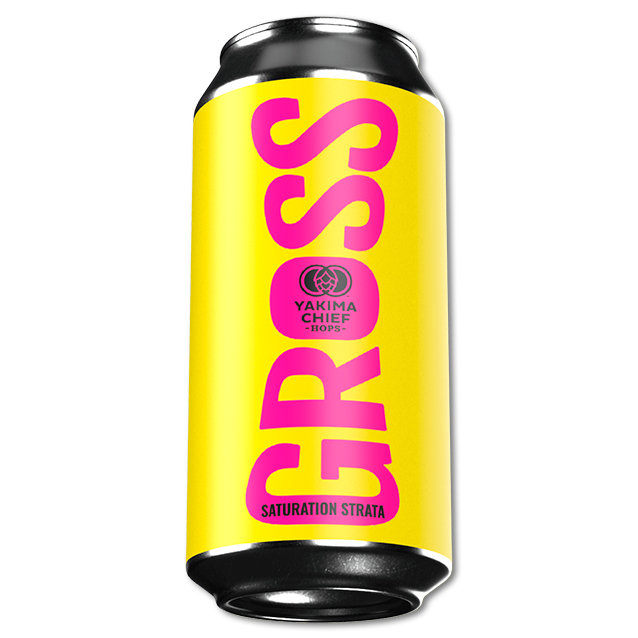 Gross x Yakima Chief - Saturation Strata - 6,5% Single Hop IPA