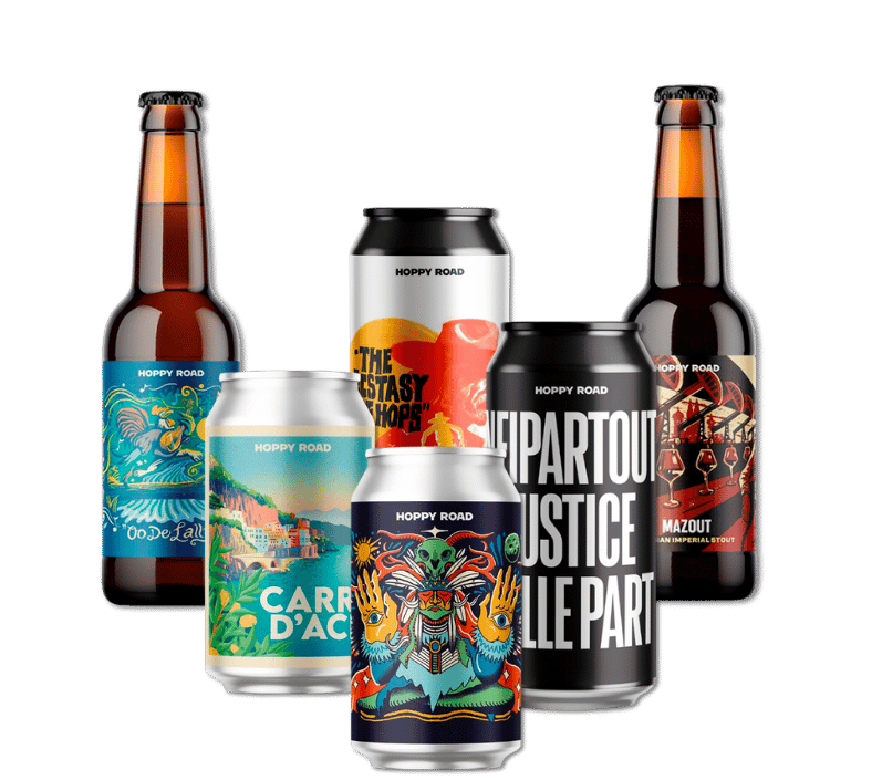 Hoppy Read Smagekasse (6 stk.)(Gns. 41,5 kr. pr. øl)