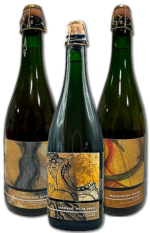 Insight Cellars Smagekasse (3 stk.)(Gns. 99,5 Kr. Pr. Øl)
