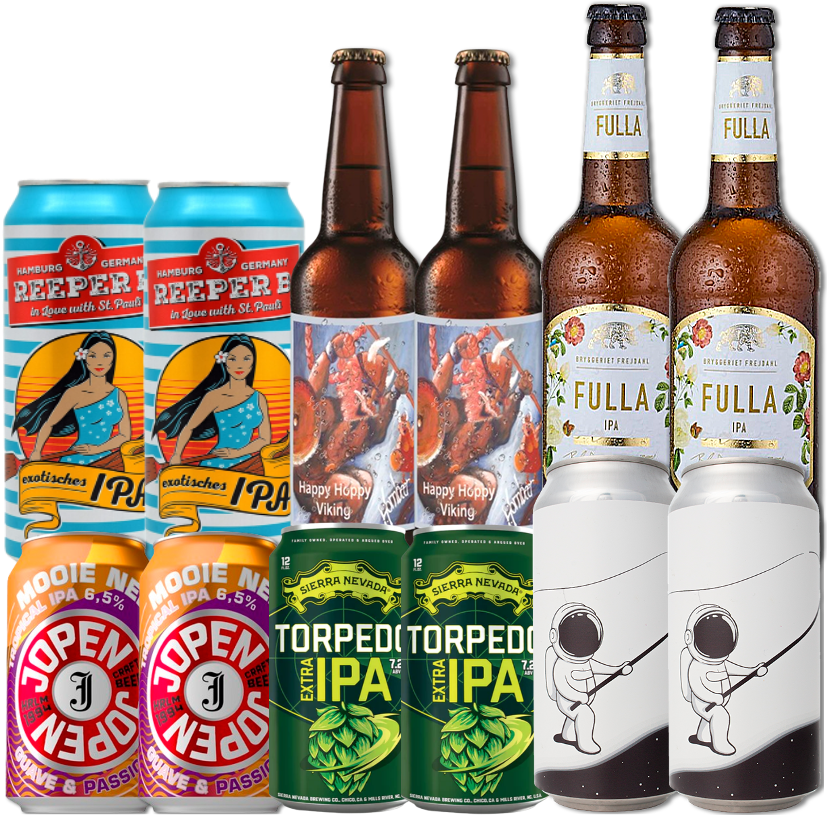 IPA Mix Smagekasse (12 stk.) (Gns. 22,75 kr. pr. øl)