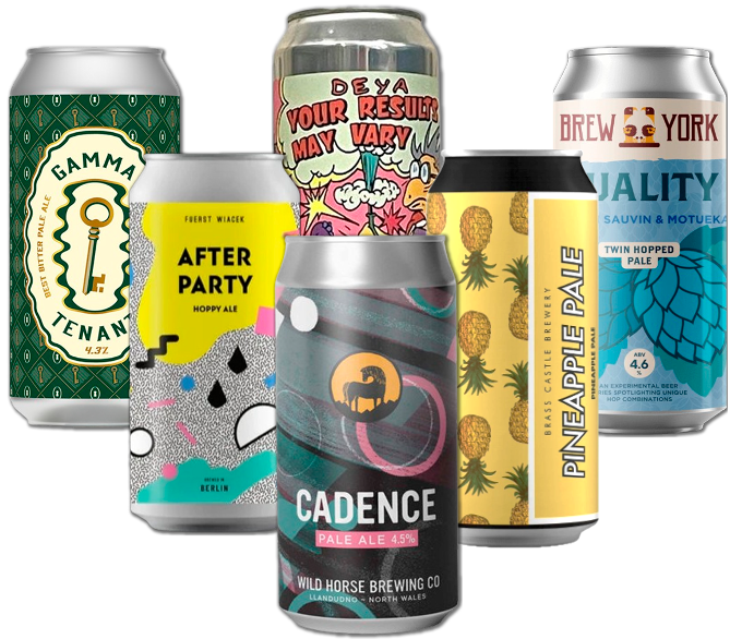 Pale Ale Smagekasse (6 stk.) (Gns. 35 Kr. Pr. Øl)