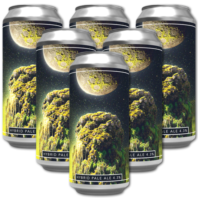 Dry & Bitter - Lost In Moss - Hybrid Pale Ale - 6-Pack